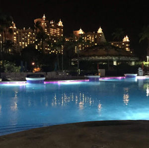 Meet your Posher, Carys